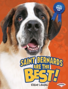 Image for Saint Bernards Are the Best!