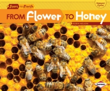 Image for From Flower to Honey