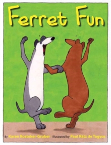 Image for Ferret Fun