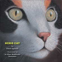 Image for Hero Cat