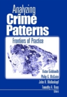 Image for Analyzing crime patterns  : frontiers of practice
