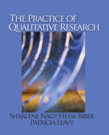 Image for The Practice of Qualitative Research