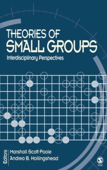 Image for Theories of small groups  : interdisciplinary perspectives