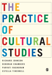 Image for The Practice of Cultural Studies