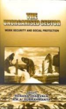 Image for The Unorganised Sector : Work Security and Social Protection