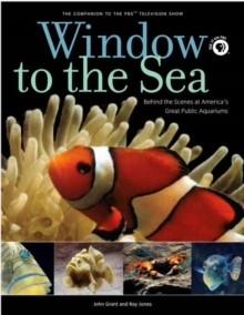 Window to the Sea