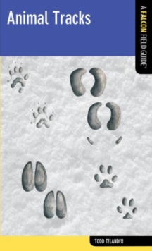 Image for Animal Tracks