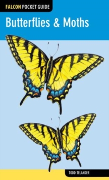 Image for Butterflies & Moths