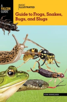 Image for Basic Illustrated Guide to Frogs, Snakes, Bugs, and Slugs