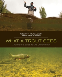 Image for What a trout sees: a fly-fishing guide to life underwater