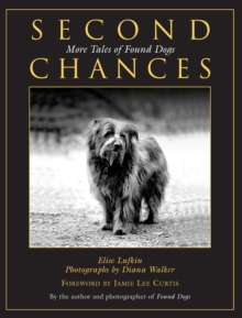 Image for Second Chances: More Tales Of Found Dogs
