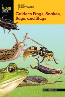 Image for Basic Illustrated Frogs, Snakes, Bugs, and Slugs