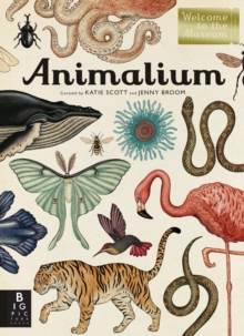 Image for Animalium : Welcome to the Museum