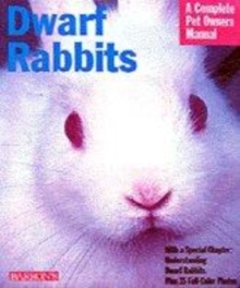 Image for Dwarf rabbits  : everything about purchase, care, nutrition, grooming, behavior, and training
