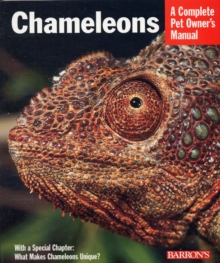 Image for Chameleons  : everything about purchase, care, nutrition, and breeding
