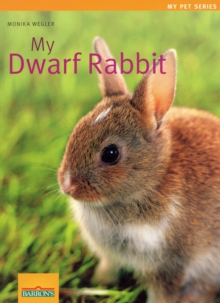 Image for My Dwarf Rabbit