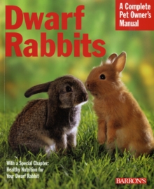 Image for Dwarf rabbits