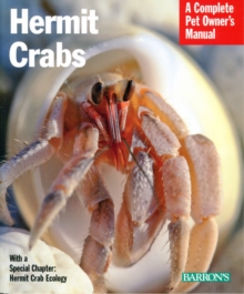 Hermit Crabs