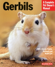 Image for Gerbils  : everything about purchase, care, and nutrition