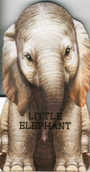 Image for Little elephant