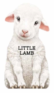 Image for Little Lamb