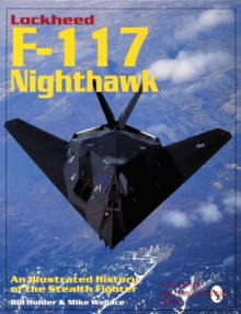Image for Lockheed F-117 Nighthawk