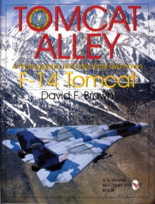 Image for Tomcat Alley