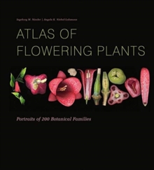 Image for Atlas of flowering plants  : visual studies of 200 deconstructed botanical families