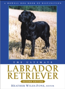 Image for The ultimate labrador retriever