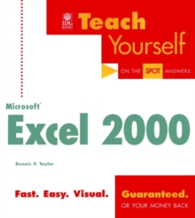 Image for Teach Yourself Microsoft Excel 2000