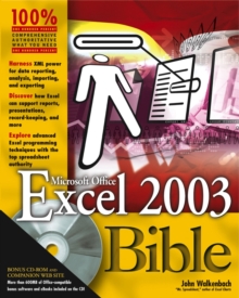 Image for Excel 2003 bible