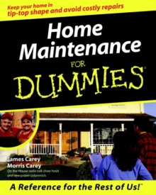 Image for Home Maintenance for Dummies