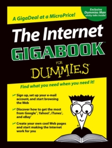Image for The Internet gigabook for dummies
