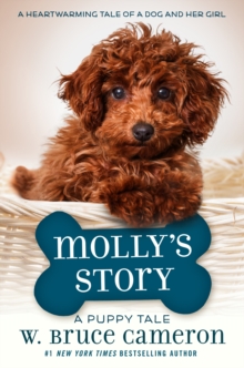 Image for Molly's Story
