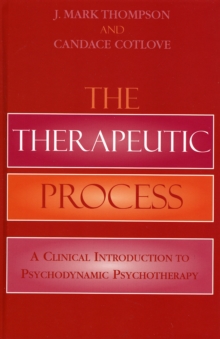 Therapeutic Process