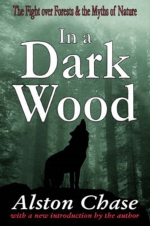 In a Dark Wood