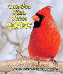 Image for Can You Find These Birds?