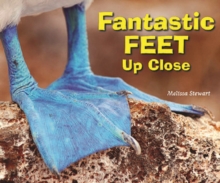 Image for Fantastic Feet Up Close