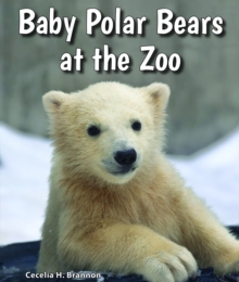 Image for Baby Polar Bears at the Zoo