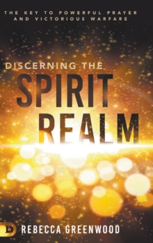 Image for Discerning the Spirit Realm