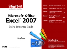 Image for Microsoft Office Excel 2007 Quick Reference Guide:  Beta Preview (Digital Short Cut)