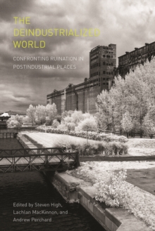Image for The deindustrialized world  : confronting ruination in postindustrial places