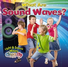 Image for What are Sound Waves?