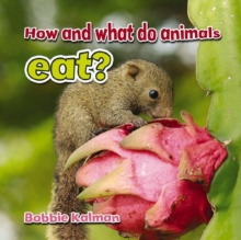 Image for How and What Animals Eat
