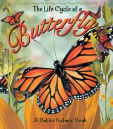 Image for The Life Cycle of the Butterfly