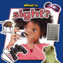 Image for What is Sight?
