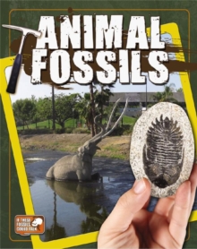 Image for Animal fossils