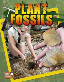 Image for Plant fossils