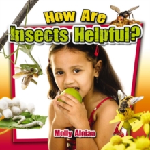 Image for How are insects helpful?