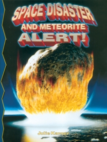 Image for Space Disaster and Meterorite Alert!